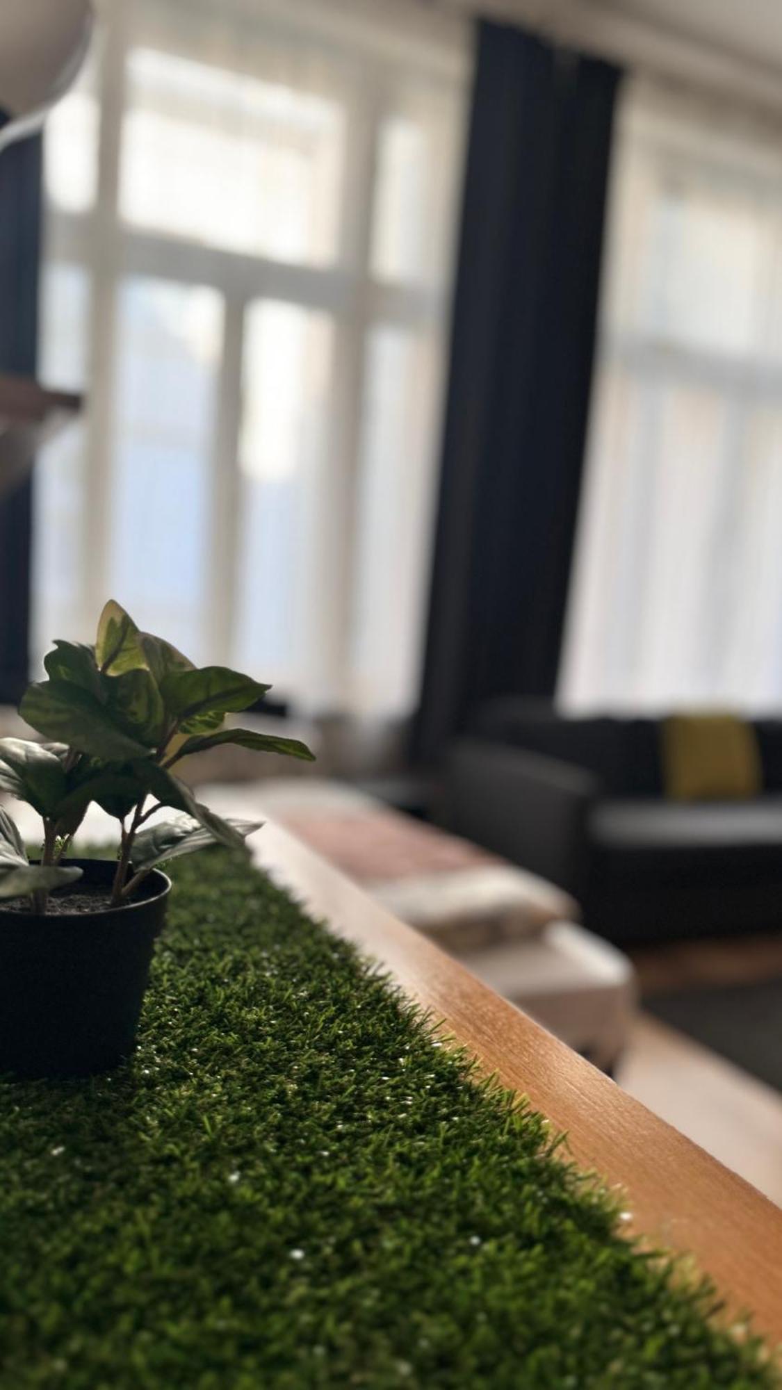City Centrum Fashionstreet Apartman Daire Budapeşte Dış mekan fotoğraf